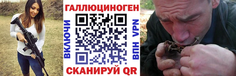 Галлюциногенные грибы Psilocybine cubensis KRAKEN зеркало Димитровград